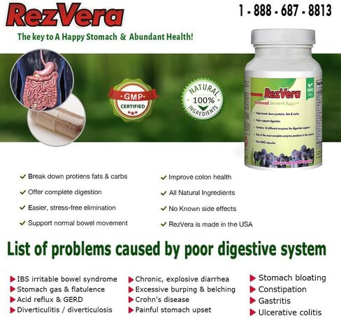#1 Best All Natural Digestive Supplement for IBS Irritable Bowel Syndrome Stomach Bloating Gas Diarrhea Heartburn Acid Reflux Constipation Indigestion - RezVera 90 Capsules in Saudi Arabia