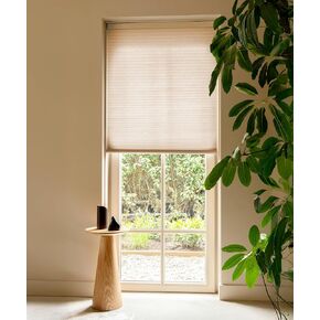 SOLAUR Blackout Cordless Cellular Shades, Pull Down Shades for Windows, 9/16" Cell Thermal Insulation Honeycomb Blinds, Sandshell 32.5"(W) x48(H) in Saudi Arabia