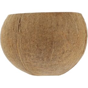 Coconut Shell Candle Cup Large Soy Wax Container Natural Coconut Shell Creative Decorative Candle Holder for Home Decor in Kuwait