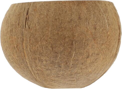 Coconut Shell Candle Cup Large Soy Wax Container Natural Coconut Shell Creative Decorative Candle Holder for Home Decor in Kuwait