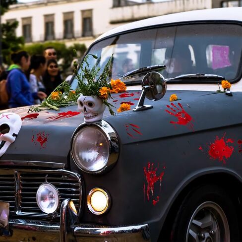 Frienda 11 Sheets Halloween Blood Car Decal Accessories Halloween Car Accessories Decords Doid Decore Decords for Meadlups Windows Headlips (نمط النخيل ، 11 ورقة) in Saudi Arabia