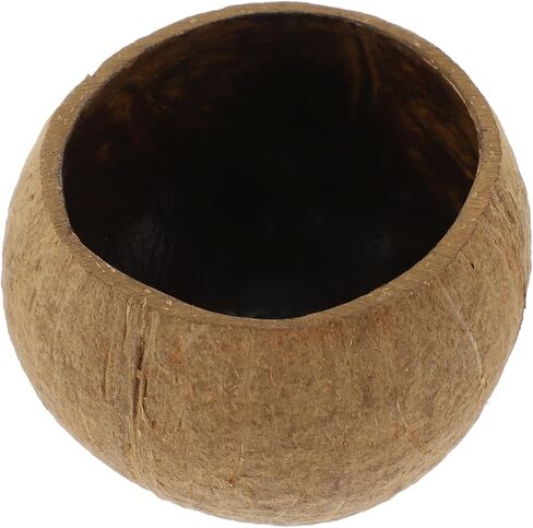 CIIEEEO COCONUT Shell حامل شمعة مجموعة DIY الصويا الشمع شمعة وعاء جوز الهند الطبيعي كأس المنزل الديكور المنزل in Saudi Arabia