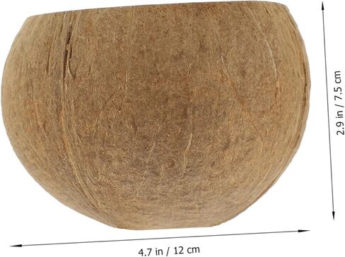 CIIEEEO COCONUT Shell حامل شمعة مجموعة DIY الصويا الشمع شمعة وعاء جوز الهند الطبيعي كأس المنزل الديكور المنزل in Saudi Arabia