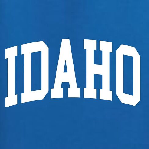 Wild Bobby State of Idaho College Style Fashion Unisex Hoodie Sweatshirt in Saudi Arabia