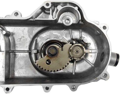 Transmission Cover Assembly - Long Case - for QMB139 50cc Engines (1121_LC) in Saudi Arabia