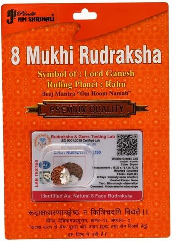 14 Mukhi Nepali Rudraksha Original & Certified | Fourteen Faced Nepali Rudraksha Beads with Certificate Positive Effect Natural for Men & Women in Saudi Arabia