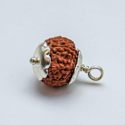 14 Mukhi Nepali Rudraksha Original & Certified | Fourteen Faced Nepali Rudraksha Beads with Certificate Positive Effect Natural for Men & Women in Saudi Arabia