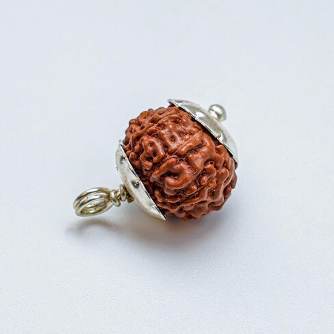 14 Mukhi Nepali Rudraksha Original & Certified | Fourteen Faced Nepali Rudraksha Beads with Certificate Positive Effect Natural for Men & Women in Saudi Arabia