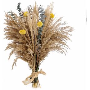 ديكور بامباس العشب ، باقة زهرة مجففة لديكور بوهو الغربي ، زهور مزرعة ريفي للمنزل البوهيمي ، غرفة نوم ، غرفة معيشة ، مركبات زفاف مركزية (بوكيه أ) in Kuwait