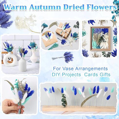 120 Pcs Fall DIY Natural Dried Flower Set Autumn Decoration Bulk Mini Dried Flowers with Stems for Crafts Vase DIY Bouquet, Door Hanging Wreath, Table Centrepieces, Candle (Orange) in Saudi Arabia