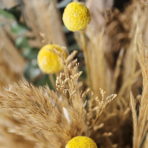 ديكور بامباس العشب ، باقة زهرة مجففة لديكور بوهو الغربي ، زهور مزرعة ريفي للمنزل البوهيمي ، غرفة نوم ، غرفة معيشة ، مركبات زفاف مركزية (بوكيه أ) in Kuwait