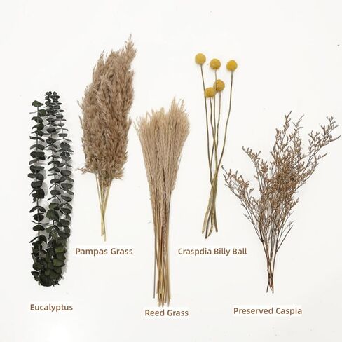 ديكور بامباس العشب ، باقة زهرة مجففة لديكور بوهو الغربي ، زهور مزرعة ريفي للمنزل البوهيمي ، غرفة نوم ، غرفة معيشة ، مركبات زفاف مركزية (بوكيه أ) in Kuwait
