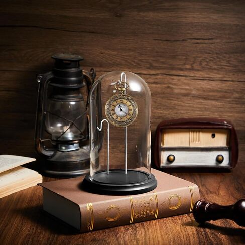 4 × 7 بوصة ستوكل جيب شاشة العرض قبة cloche مع 2 خطافين صافية مشاهدة ستوكل CASE STAND GLASS CLOCHE Showcase مع قاعدة خشبية لميداليات الحلي صور المقتنيات in Saudi Arabia