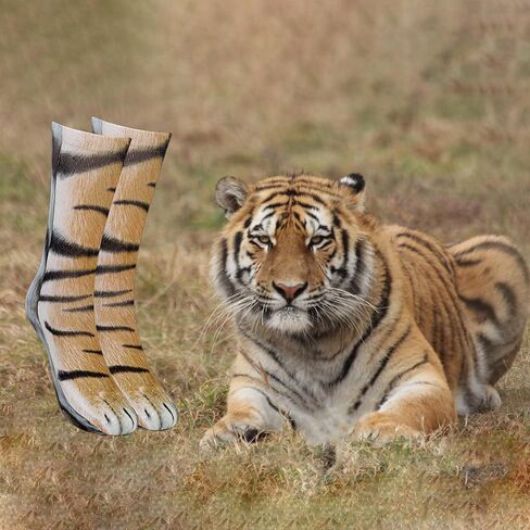 Novelty 3D Animal Paw Socks Cat Socks Stocking Stuffers for Adult Teens Crazy Socks Gag Gifts White Elephant Gifts in Kuwait