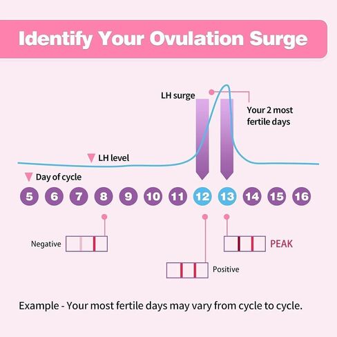25 Count Ovulation Test Strips with Cups, Bulk Ovulation Test Strips for Women, Ovulation Predictor Kit, Accurate Fertility Tests for Home, Individually Wrapped 5mm LH in Kuwait
