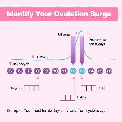 25 Count Ovulation Test Strips with Cups, Bulk Ovulation Test Strips for Women, Ovulation Predictor Kit, Accurate Fertility Tests for Home, Individually Wrapped 5mm LH in Kuwait