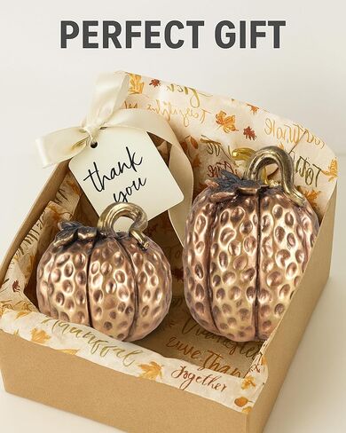 Set of 2 White & Gold Decorative Pumpkins – Resin Fall Harvest Table Centerpiece, Elegant Autumn Décor for Thanksgiving Decoration Farmhouse Home (White) in Kuwait