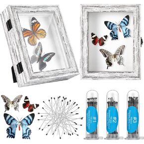 2 Pcs Insect Display Case Collection Shadow Boxes Butterfly Box with Clear Top EVA Foam Pinning Board and 300 Pcs 3 Sizes Insect Pins Insect Pinning Kit for Specimen, 7.87 x 6.3 x 2.05 Inch (Gray)