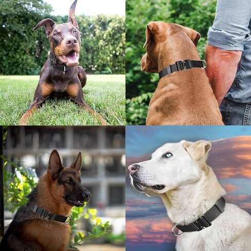 Tactical Collar for Medium, Large and Extra Large Dogs, Adjustable, Very Resistant, Made of Nylon Quick-Release Metal Buckle, Tactical K9 for Dog, Two Colors from U Things. (Black, Medium) in Saudi Arabia
