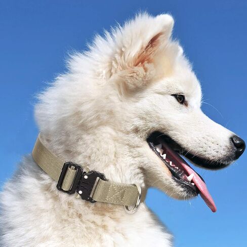 Tactical Collar for Medium, Large and Extra Large Dogs, Adjustable, Very Resistant, Made of Nylon Quick-Release Metal Buckle, Tactical K9 for Dog, Two Colors from U Things. (Black, Medium) in Saudi Arabia