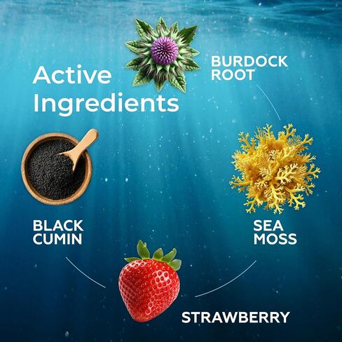 Irish Sea Moss Drops - 5X Stronger Than Sea Moss Gel - 92+ Essentials Minerals - with Black Elderberry, Burdock Root & Black Cumin - 2 Fl Oz (60ml) - Elderberry Flavor in Kuwait