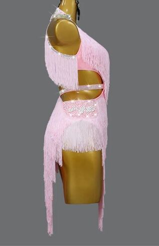 Women's Fringed Dance Dress Professional Performance Ballroom Party Prom Dresses Samba Line Sport Stage Wear in Saudi Arabia