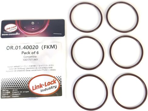 6pcs fkm Viton Or.01.40020 محرك مضخة الوقود عالية الضغط O-Ring Gasket 13517571363 لـ BMW N53 N54 N55 in Saudi Arabia