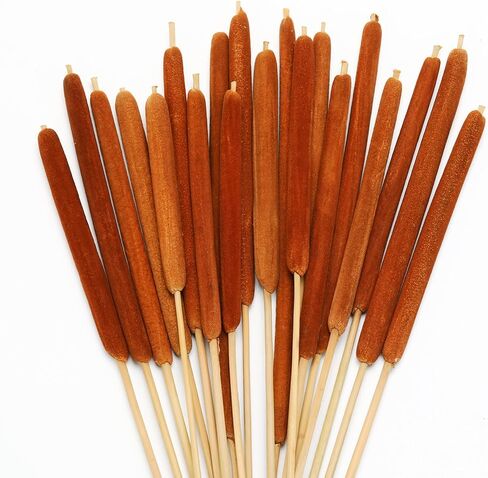 Natural Dried Cattail Flowers, 20 PCS Assorted Cattails for DIY Rustic Floral Arrangements and Home Wedding Bouquet Decorations, Fall Centerpiece Decor (Brown, 17 Inch) in Saudi Arabia