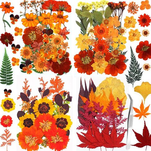 Fall Dried Pressed Flowers for Crafts, 103 PCS Real Dried Pressed Flowers Leaves Kit Autumn Pressed Dry Flower with Tweezers for Resin Molds DIY Scrapbooking Candle Jewelry Making (Orange, Yellow) in Saudi Arabia