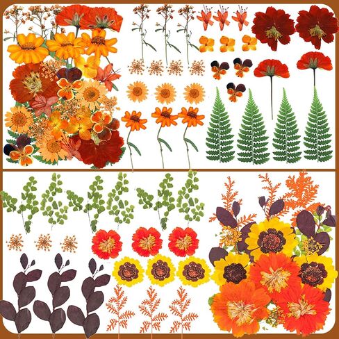 Fall Dried Pressed Flowers for Crafts, 103 PCS Real Dried Pressed Flowers Leaves Kit Autumn Pressed Dry Flower with Tweezers for Resin Molds DIY Scrapbooking Candle Jewelry Making (Orange, Yellow) in Saudi Arabia