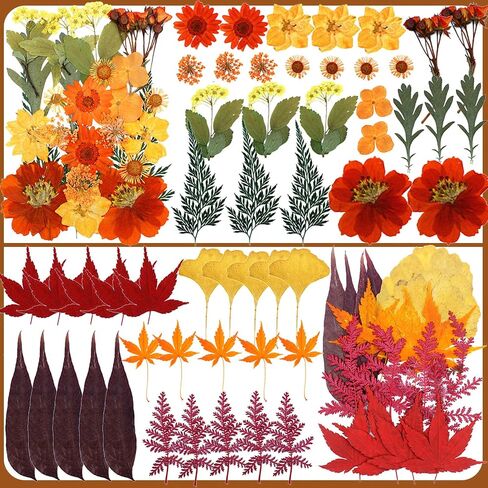 Fall Dried Pressed Flowers for Crafts, 103 PCS Real Dried Pressed Flowers Leaves Kit Autumn Pressed Dry Flower with Tweezers for Resin Molds DIY Scrapbooking Candle Jewelry Making (Orange, Yellow) in Saudi Arabia