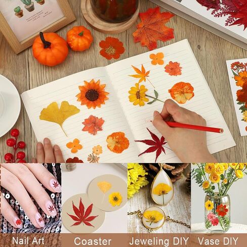 Fall Dried Pressed Flowers for Crafts, 103 PCS Real Dried Pressed Flowers Leaves Kit Autumn Pressed Dry Flower with Tweezers for Resin Molds DIY Scrapbooking Candle Jewelry Making (Orange, Yellow) in Saudi Arabia