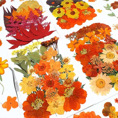 Fall Dried Pressed Flowers for Crafts, 103 PCS Real Dried Pressed Flowers Leaves Kit Autumn Pressed Dry Flower with Tweezers for Resin Molds DIY Scrapbooking Candle Jewelry Making (Orange, Yellow) in Saudi Arabia