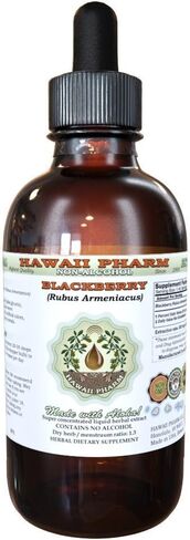 Hawaii Pharm Blackberry Blackberry الخالي من الكحول ، Blackberry (Rubus Armeniacus) الجذر الجذري العشبي الطبيعي 2 أوقية in Saudi Arabia
