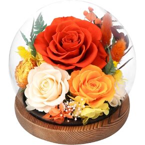 Preserved Flowers In Glass Dome, Eternal Flowers, Forever Flower, Birthday Gifts for Women, Gifts for Mom Girlfriend Her Friendship, Home Decor Bedroom Living Room (Terracotta) in Saudi Arabia