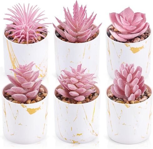 Der Rose 4 Packs Pays Lugfulents Plants Ingontains Indoor for Pink Room Bather Bathrate Decor in Saudi Arabia