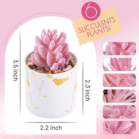 Der Rose 4 Packs Pays Lugfulents Plants Ingontains Indoor for Pink Room Bather Bathrate Decor in Saudi Arabia
