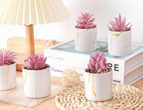 Der Rose 4 Packs Pays Lugfulents Plants Ingontains Indoor for Pink Room Bather Bathrate Decor in Saudi Arabia