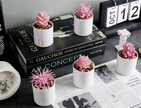 Der Rose 4 Packs Pays Lugfulents Plants Ingontains Indoor for Pink Room Bather Bathrate Decor in Saudi Arabia