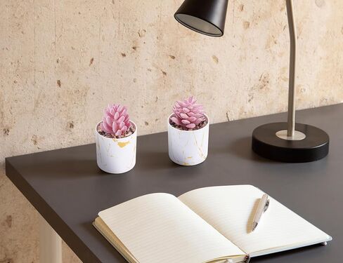 Der Rose 4 Packs Pays Lugfulents Plants Ingontains Indoor for Pink Room Bather Bathrate Decor in Saudi Arabia