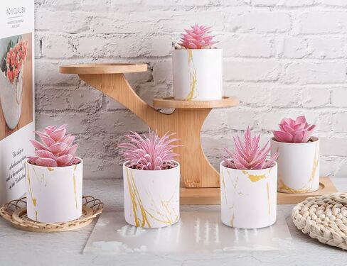 Der Rose 4 Packs Pays Lugfulents Plants Ingontains Indoor for Pink Room Bather Bathrate Decor in Saudi Arabia