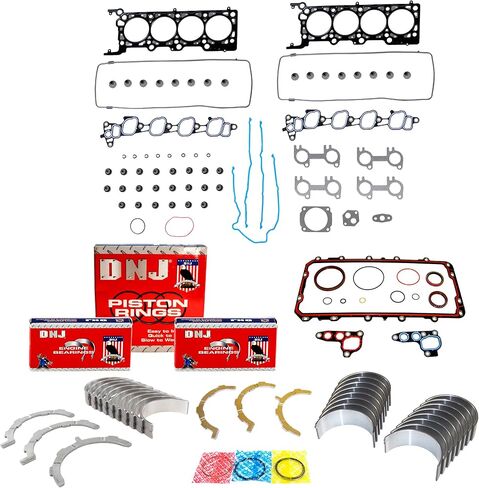 DNJ RRK4153C Engine Re-Ring Kit for 2001-2001 Ford Mustang 4.6L V8 16V SOHC 281cid in Saudi Arabia