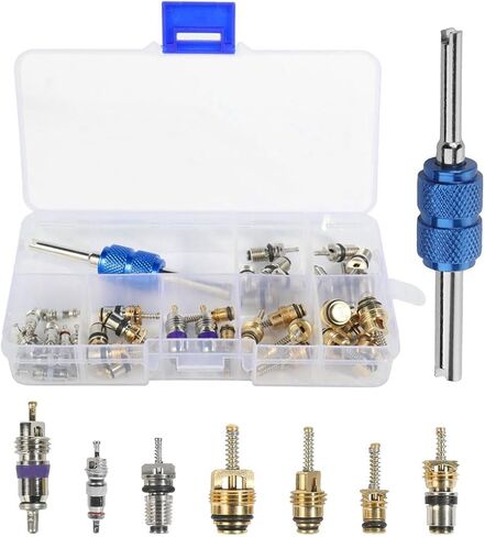 40PCS CAR CAR AC Valve Core ، إكسسوارات السيارات ، مكيف الهواء ، مجموعة صمامات Schrader ، A/C R12 R134A صمامات إطارات إطارات السيارات الجذعية لمعظم السيارات in Saudi Arabia