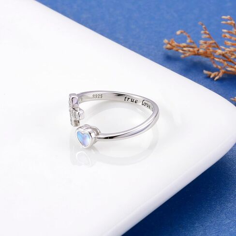 Mic Tai 925 Sterling Silver Cross Purity Ring - Christian Religious Adjustable Ring Jewelry Gifts for Women Girls (True Love Waits) in Kuwait