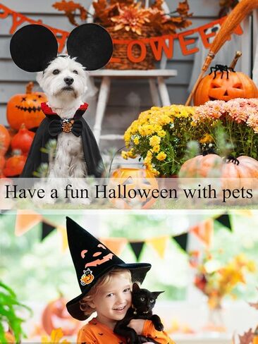 مجموعة دبابيس بروش أكريليك لطيفة في عيد الهالوين - 30pcs جمجمة اليقطين شبح القطة دبابيس زخرفية لحقائب الظهر والملابس والحقائب والقبعات - إكسسوارات عيد الهالوين DIY in Kuwait