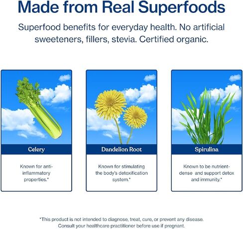 Sunwink Detox Powdered Greens - Organic Greens SuperFood Powder for Debloat - Super Greens Powder w/Celery, Dandelion, Spirulina - Daily Greens Powder for Gentle Detox (6g Each, Pack of 15) in Saudi Arabia