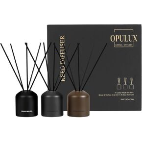 مجموعة ناشر القصب 3 حزمة 5 أوقية مجموعة هدايا فاخرة ، ديكور المنزل ، إكسسوارات الحمام ، هدايا الاحترار المنزلي منزل جديد ، زيت أساسي ، شقة ، ناشر رائحة ، إكسسوارات غرفة النوم ، ديكور الحمام in Kuwait