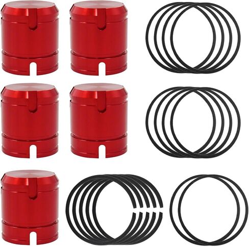 Transmission Accumulator Piston Set & Plate Repair Kit Compatible with 45RFE/545RFE/65RFE/66RFE/68RFE (1999 - On) in Saudi Arabia