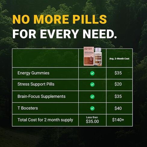 مشروع العافية (TWP Liposomal KSM-66® Ashwagandha 600mg (استخراج الجذر فقط)-إمدادات شهرين | يدعم الهدوء والطاقة والاسترخاء | يأتي مع شهادة التحليل | 60 قرصًا (حزمة 3) in Kuwait