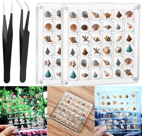 Acrylic Magnetic Seashell Display Box,Clear Sea Shell Holder Display Box,Beach Shelling Tools Storage Organizer Bag,Seashell Display Case(36 grids) in Saudi Arabia